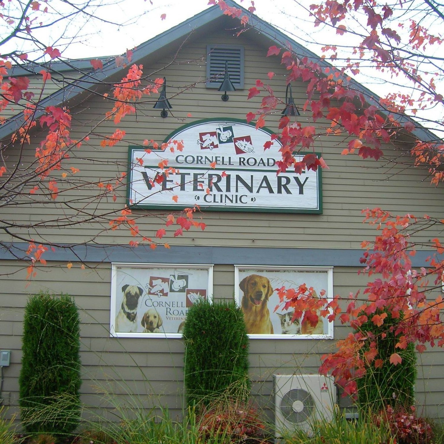 Cornell Road Veterinary Clinic Building